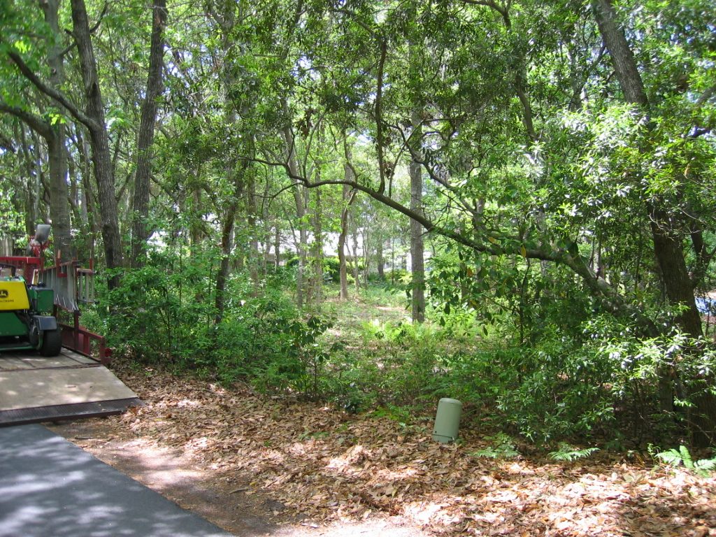 View from the road